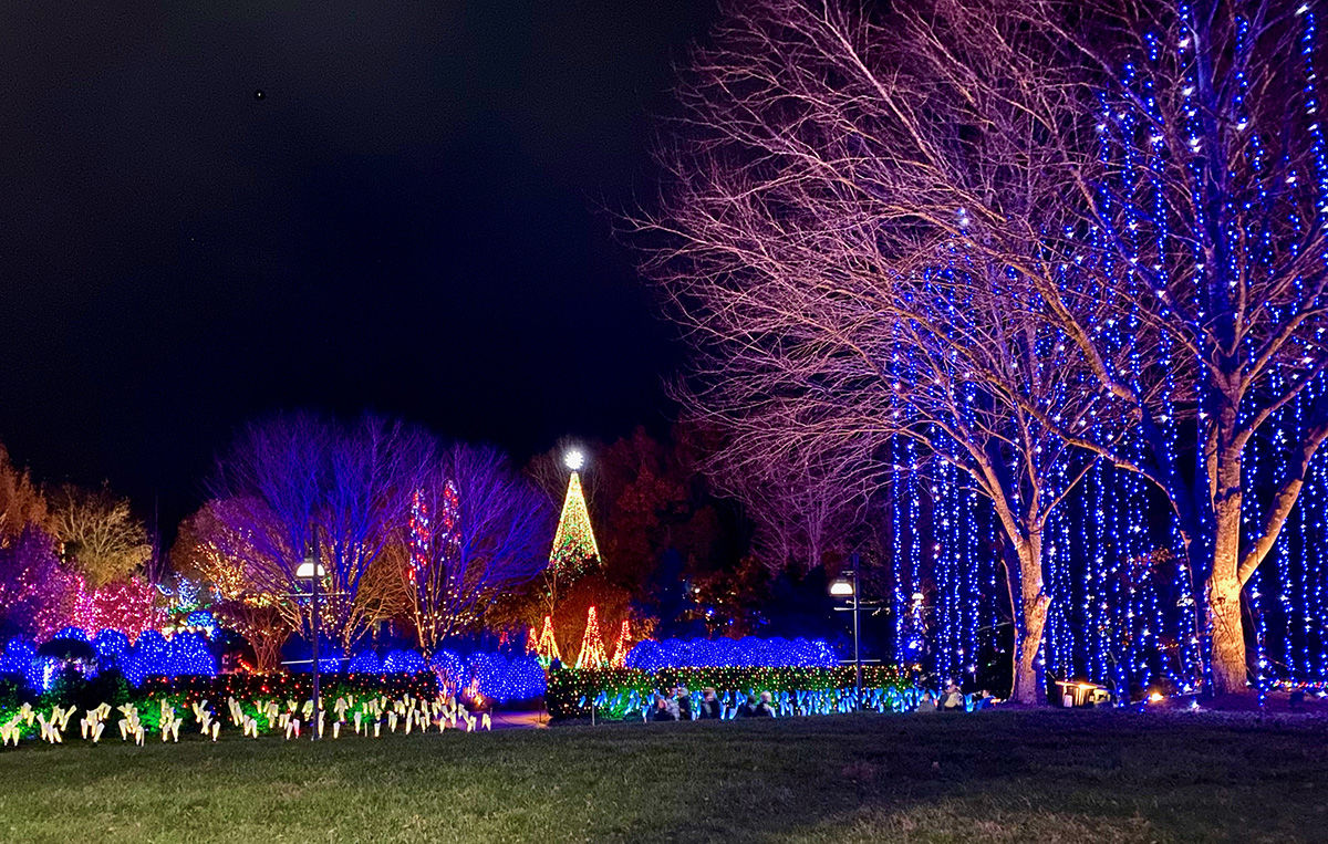 Winter Lights overview - night sky